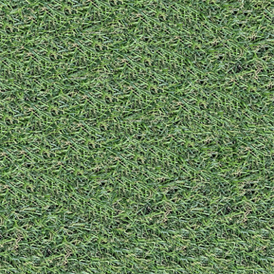 Image pour MOOLAR Artificial Grass