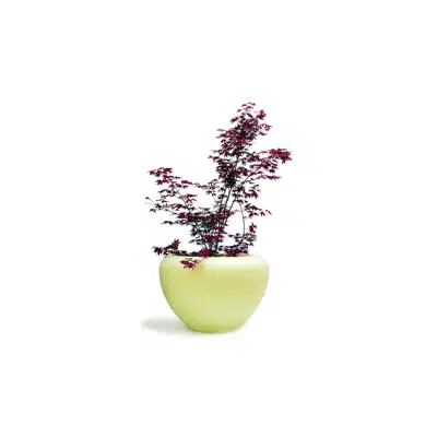 Image pour Scoop planter