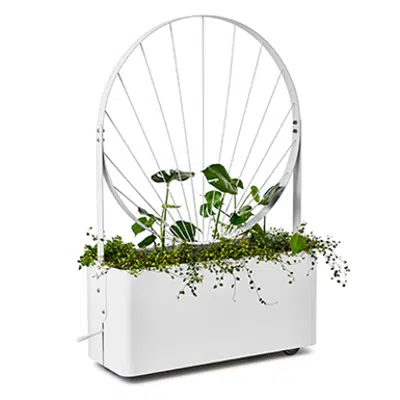 imazhi i Gro planter