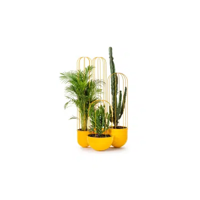 bilde for Cacti planter