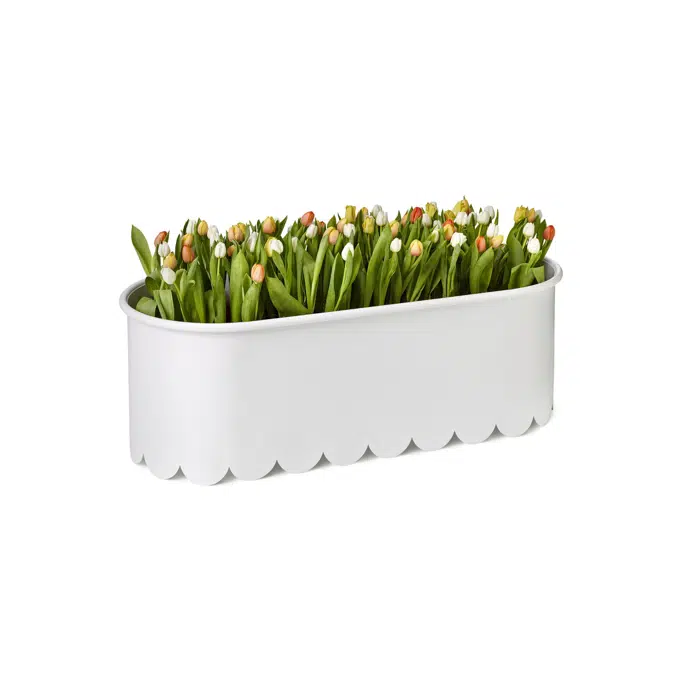 Daisy planter