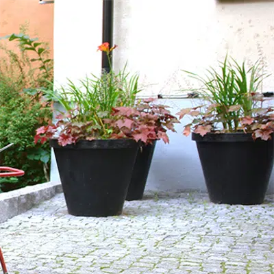 bilde for Folke planter - small