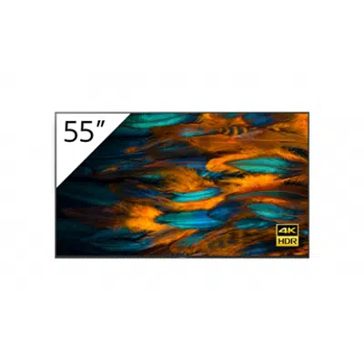 FW-55BZ40H 55" BRAVIA 4K Ultra HD HDR Professional Display için görüntü