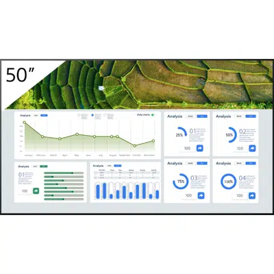 FW50BZ30L Professional Display图像