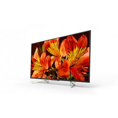 FW-49BZ35F 49" BRAVIA 4K HDR Professional Display için görüntü