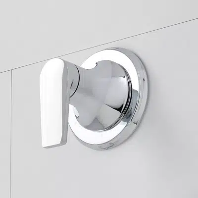 Berwyn In-Wall Shower Diverter Trim - SHBW9005图像