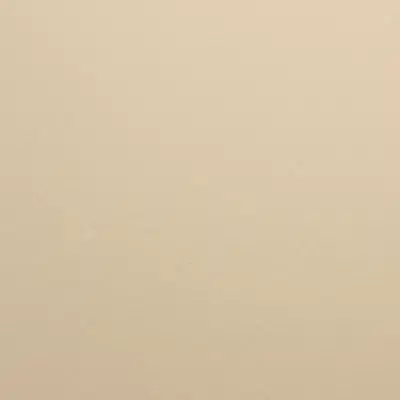 изображение для Powder coating Golden Beach 12255I