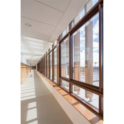 Image for Curtain Wall - KADRILLE AA100 50mm SSG