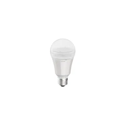 Image for Rania A20 Lamps