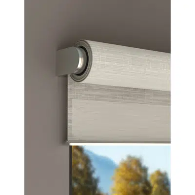 Image for Palladiom Roller Shade