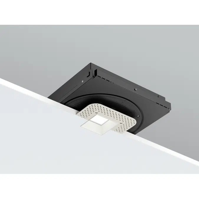 D2 Downlight