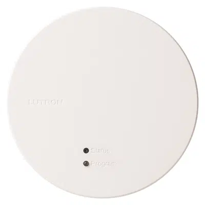 kuva kohteelle HomeWorks Wireless Processor