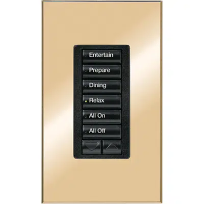 imagen para HomeWorks® QS RF seeTouch® Architectural keypad