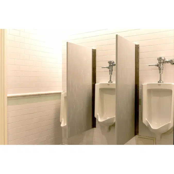 Urinal Partition