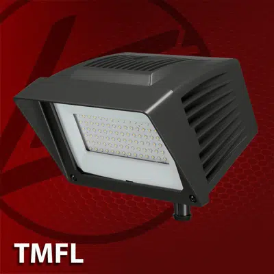 (TMFL) Traditional LED Flood Lights图像