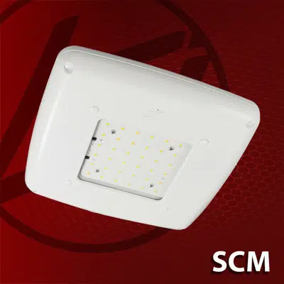 Immagine per (SCM) Scottsdale Canopy 