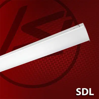 (SDL) Lensed Strip图像