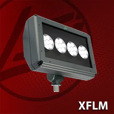 Image for (XFLM) Flood Light - Medium
