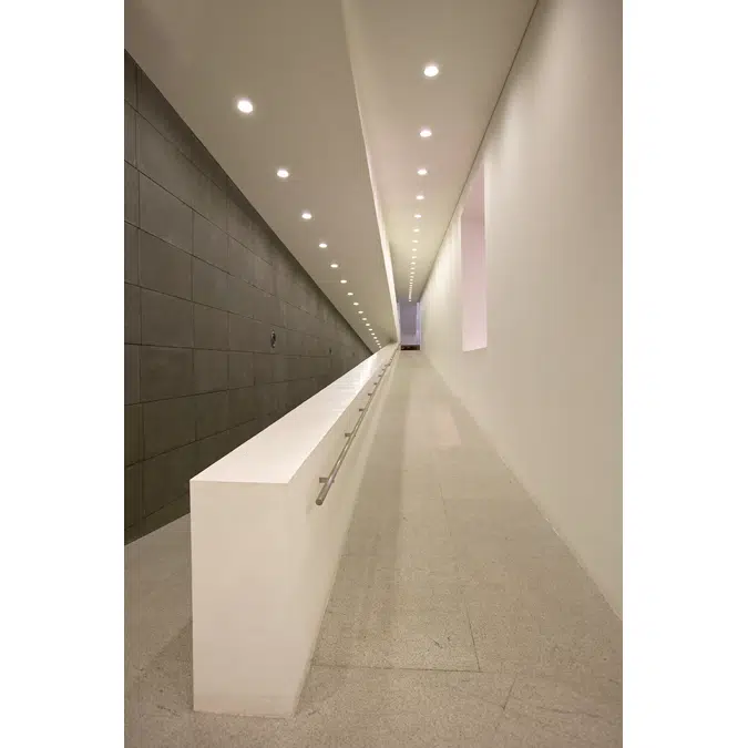 (ADL) Advantage Downlight