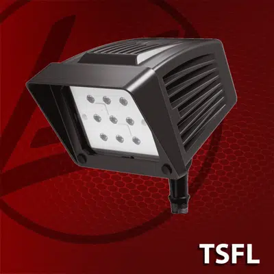 Image for (TSFL) Traditional LED Flood Lights