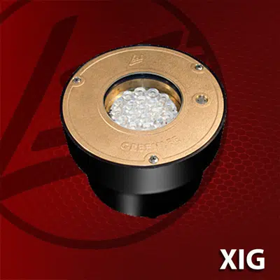 (XIG) Inground Light - Flood Light图像