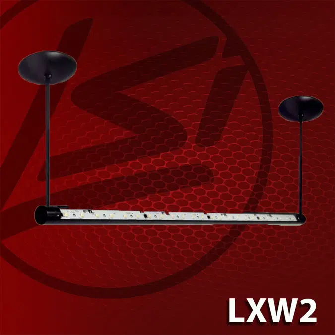 (LXW2) Linear Sign/Wall Washer