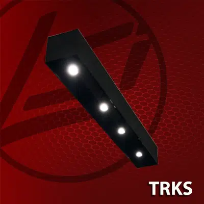 afbeelding voor (TRKS) Track Box System with (STRB30) Track Light Fixture