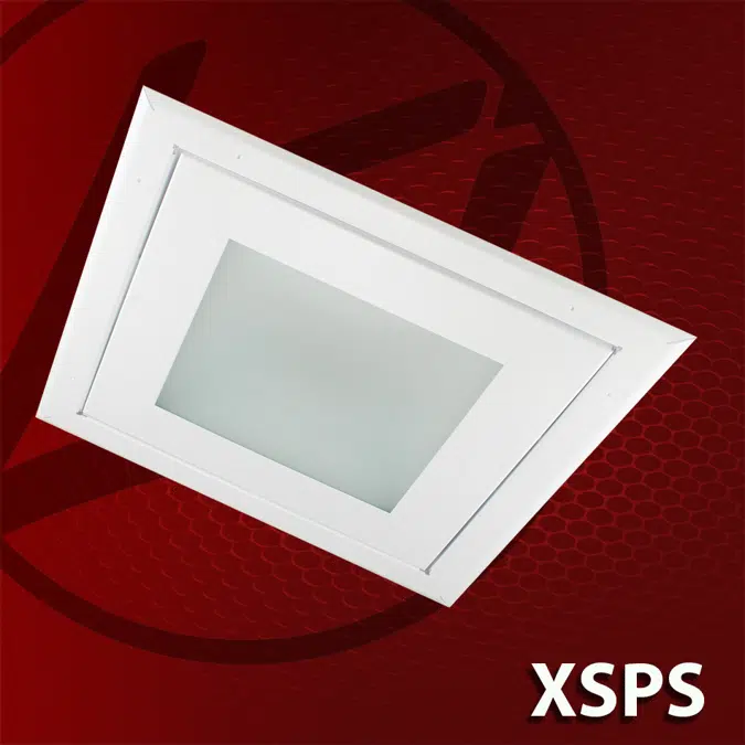 (XSPS) Canopy Light