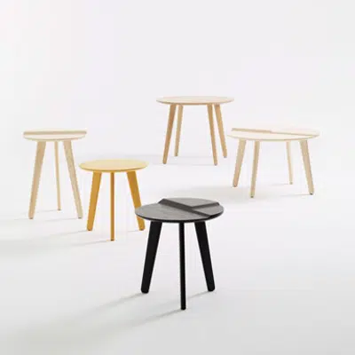 Immagine per TERRANE - SHOWCASE