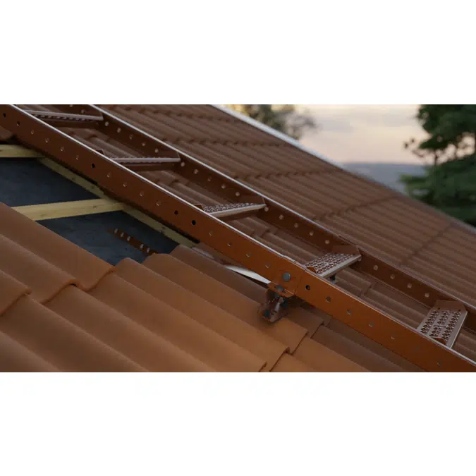 Roof ladder