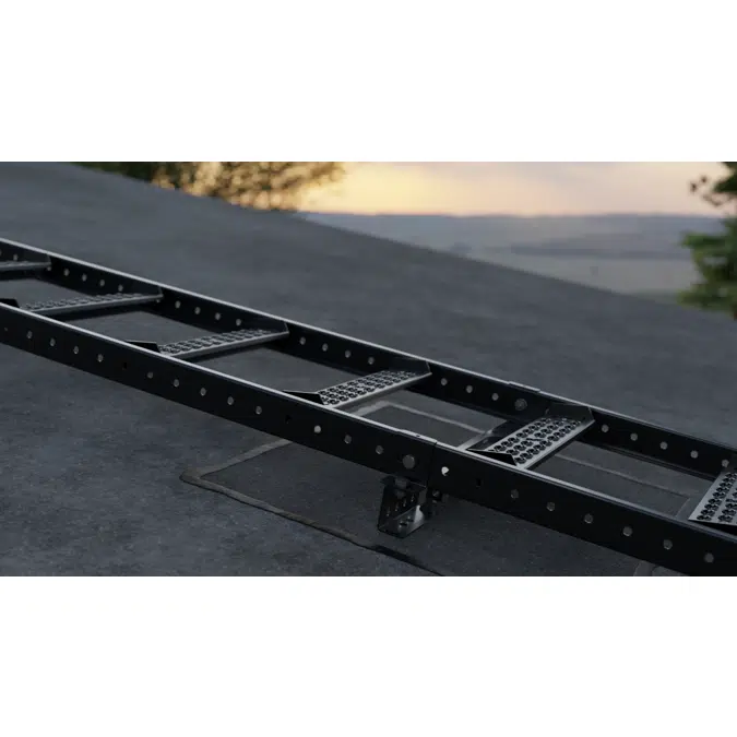 Roof ladder
