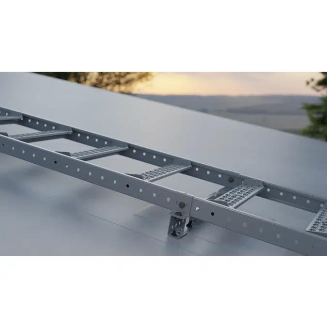 Roof ladder