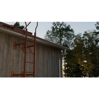 изображение для Facade Ladder with safety Rail