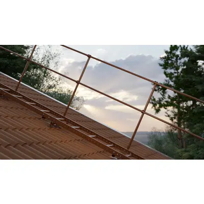 afbeelding voor Roof ladder with guard