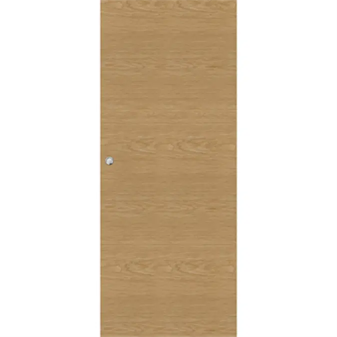 Interior Door Steady 411 Single Sliding Wall mounted