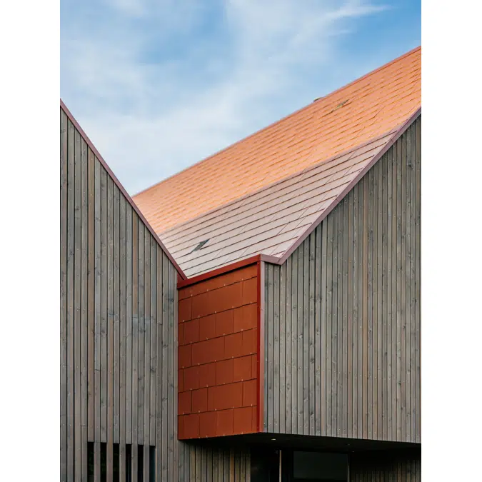 Orleane - roofing slate