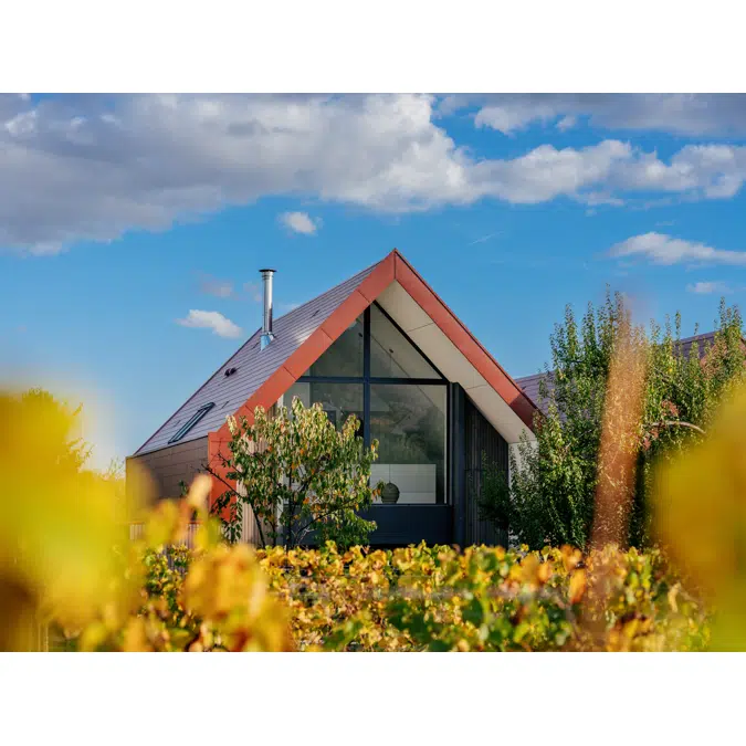 Orleane - roofing slate