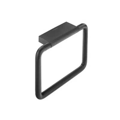 Image for BLACK AND WHITE Towel ring