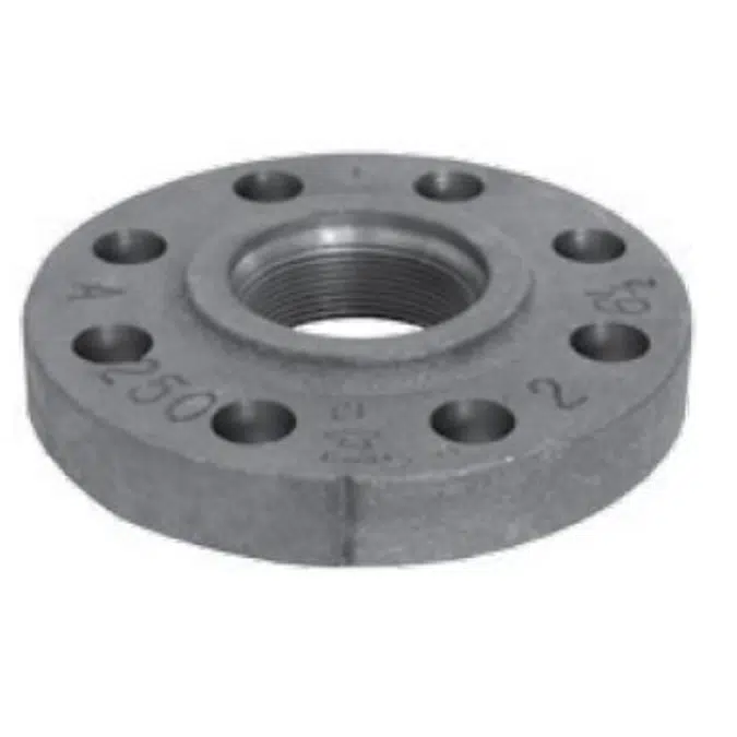 Fig. 1025 - Companion Flange Class 250