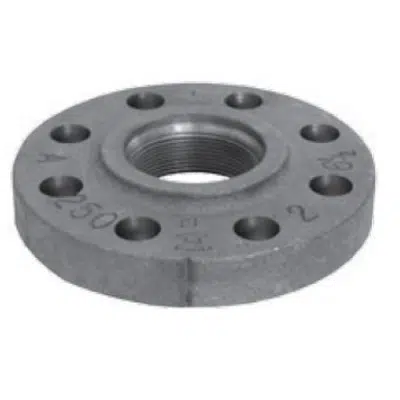 Image for Fig. 1025 - Companion Flange Class 250