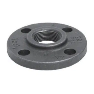 Fig. 1011 - Companion Flange Class 125图像