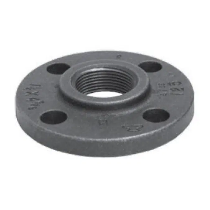 Fig. 1011 - Companion Flange Class 125