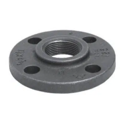 Image for Fig. 1011 - Companion Flange Class 125