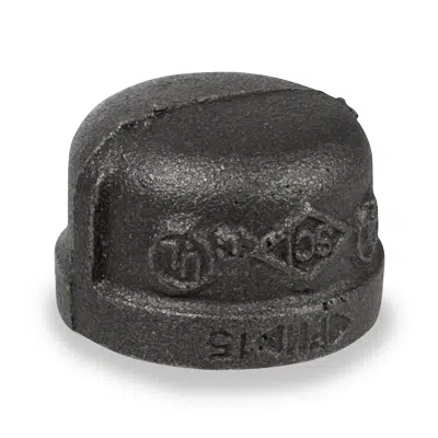Imagem para Fig. 3224 - Cap}