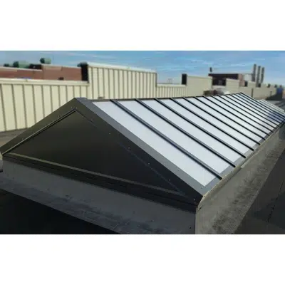 kuva kohteelle SKYGARD 3700® - Self-Spanning Skylight