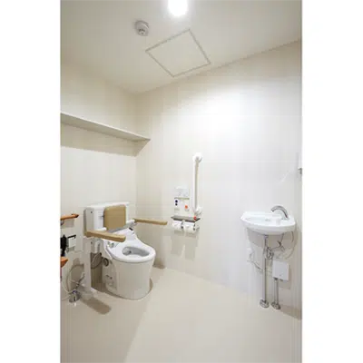 bilde for CERARL,   Toilet, Non-Combustible Decorative Panels