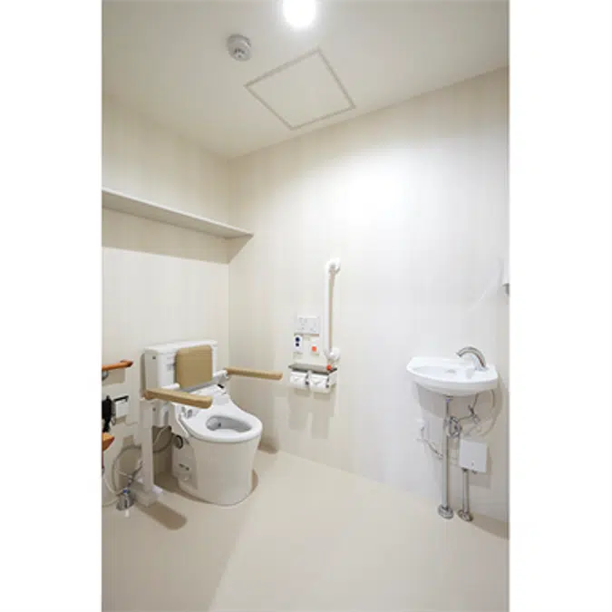 CERARL,   Toilet, Non-Combustible Decorative Panels