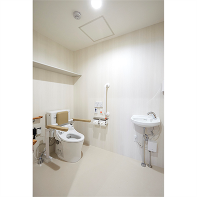 CERARL,   Toilet, Non-Combustible Decorative Panels图像