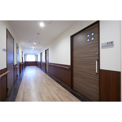 Image for CERARL,   Hospital, Non-Combustible Decorative Panels