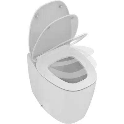 Image for DEA FS BTW BOWL AB INCL SC SEAT WHITE
